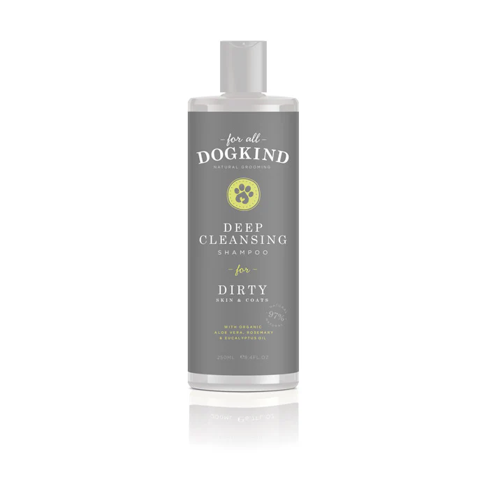 Dirty Shampoo