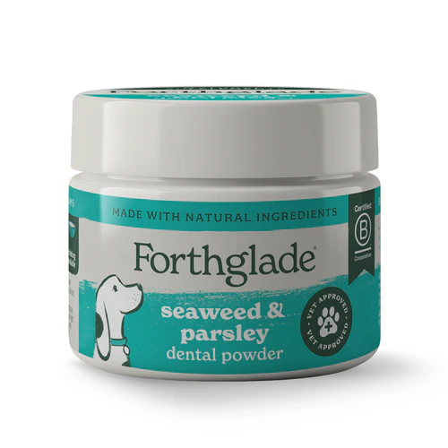 Dental Powder
