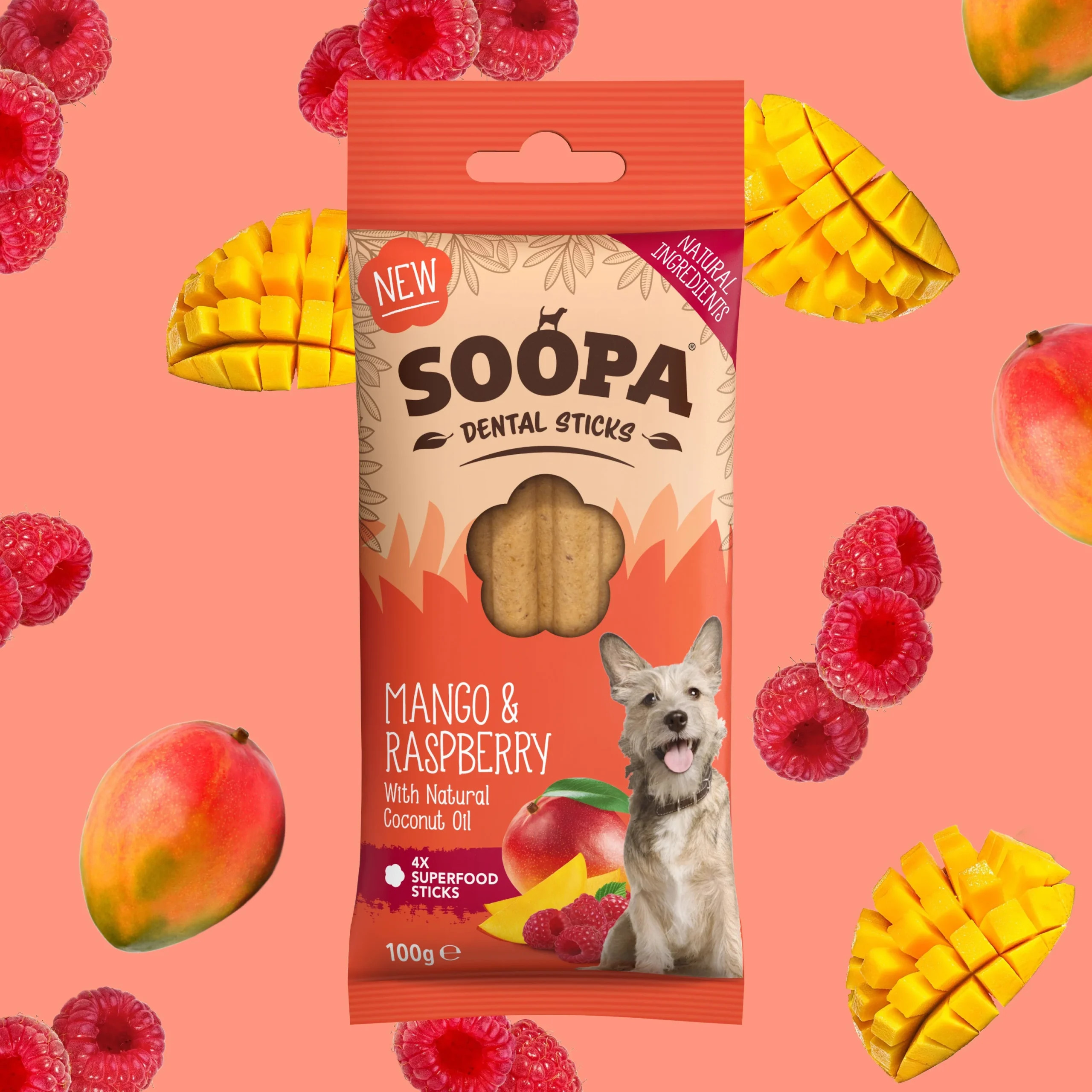 Mango and Raspberry Sticks