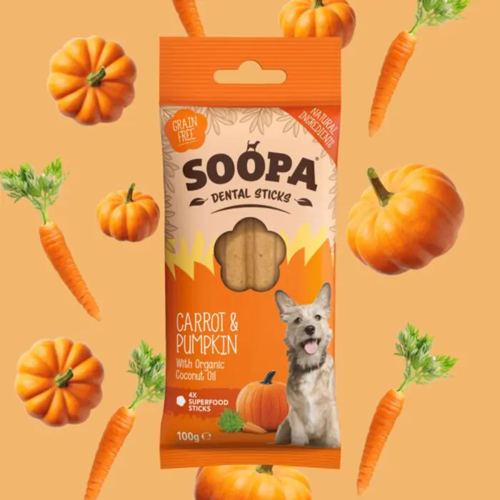 Carrot and Pumpkin Sticks