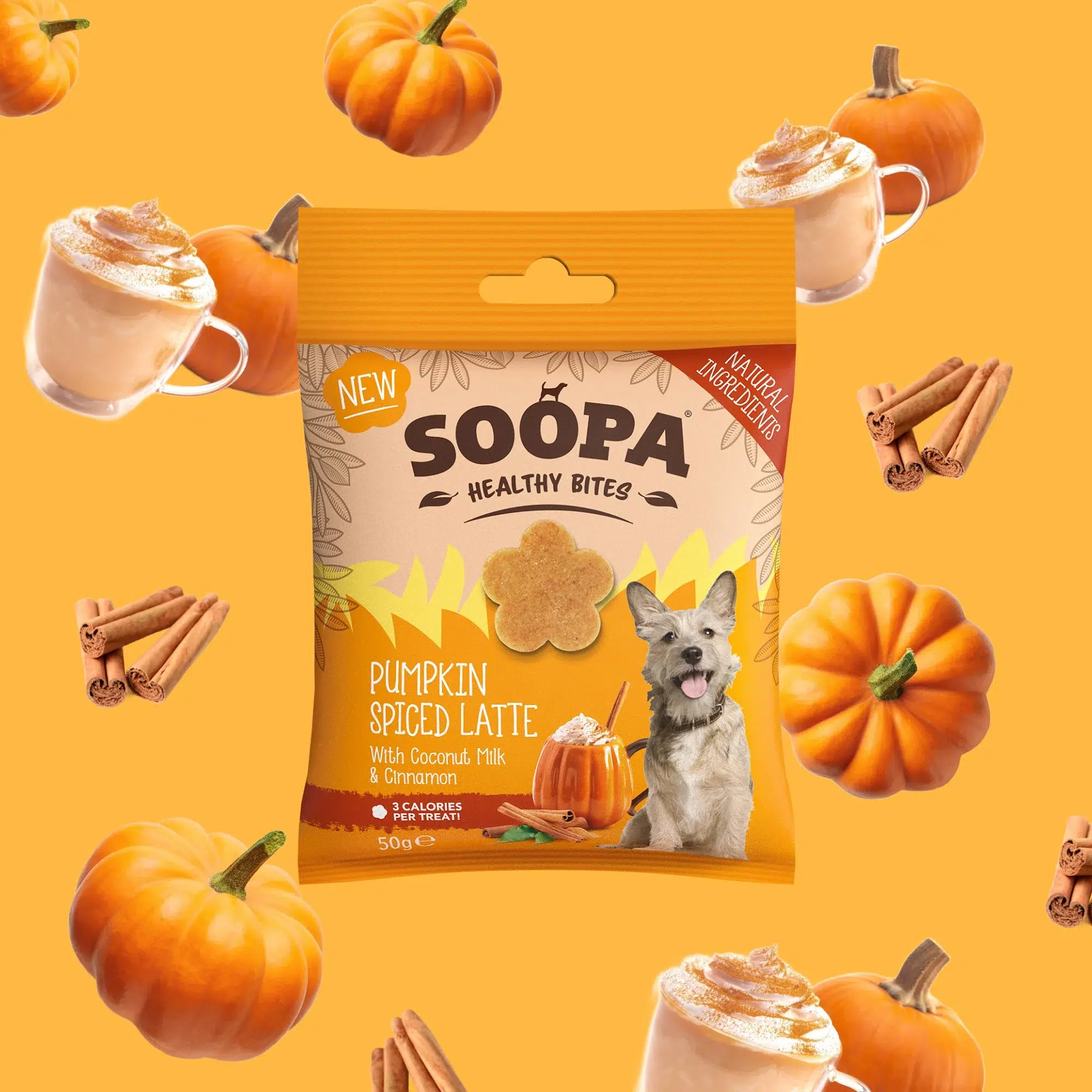 Carrot and Pumpkin Training Treats