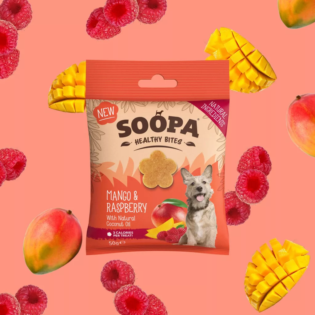 Mango and Raspberry Training Treats