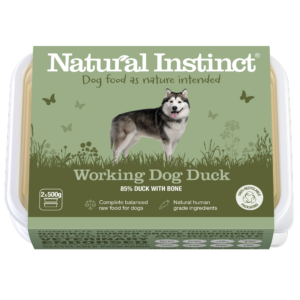 Working Dog Duck