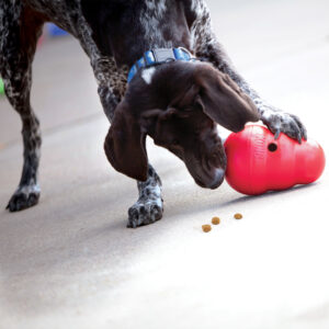 KONG Wobbler Large